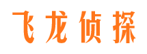 江城市调查公司